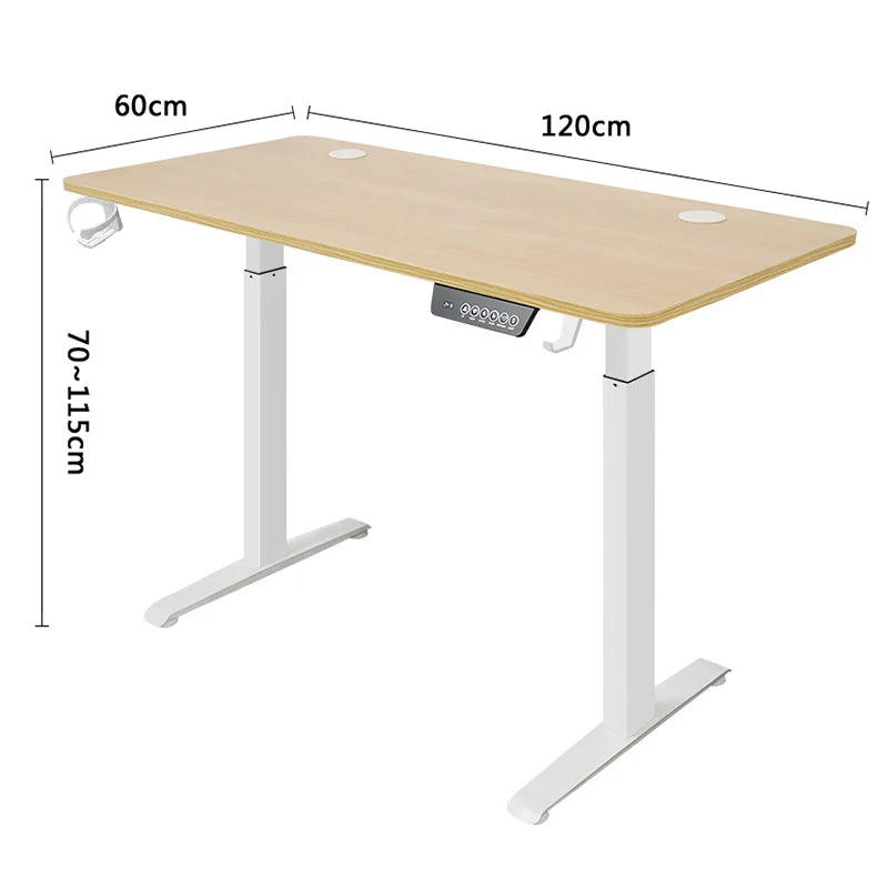 DeskRise Dual Motor Standing